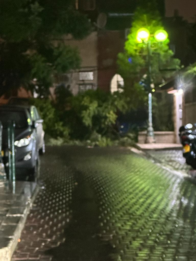 WhatsApp Image 2023-11-19 at 17.52.12.jpeg